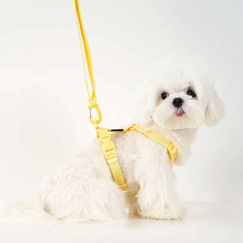 PAWGLEAM – Reflective Pet Harness Leash Set - Imagen 3
