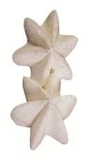 Pack 6 Boquilla Estrella de Lacor - Imagen 5