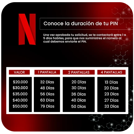 Bono Netflix - Imagen 3