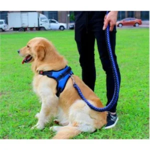 ARNES CON TRAILLA TRENZADA TALLA M