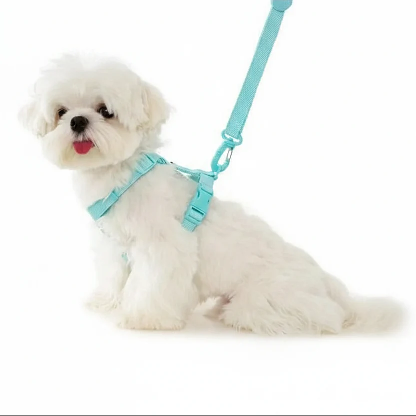 PAWGLEAM – Reflective Pet Harness Leash Set - Imagen 4