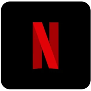 Bono Netflix